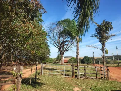 Fazenda/Sítio à venda, 37510m² no Junqueira, Monte Aprazível