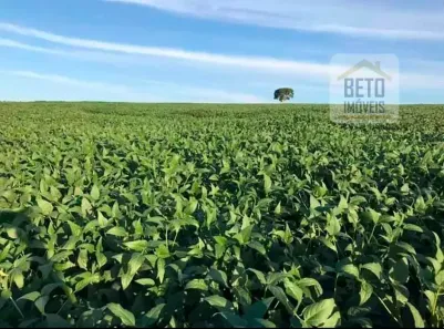 Fazenda/Sítio à venda, 62920000m² no Centro, Piracicaba