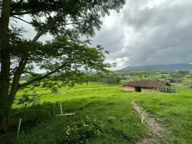 Fazenda/Sítio com 3 Quartos à venda, 150m² no Área Rural de Biguaçu, Biguaçu