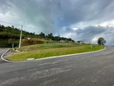 Lote/Terreno à venda, 1446m² no Vicentina, Farroupilha