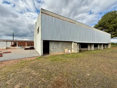 Galpão/Depósito/Armazém para alugar, 500m² no Cará-cará, Ponta Grossa