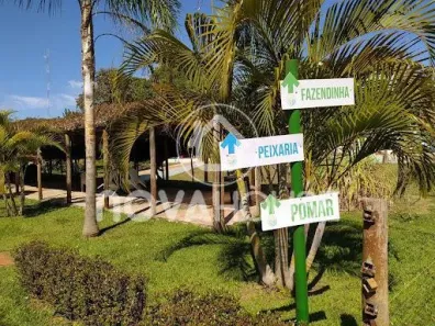Fazenda/Sítio com 1 Quarto à venda, 74000m² no Área Rural de Campo Grande, Campo Grande