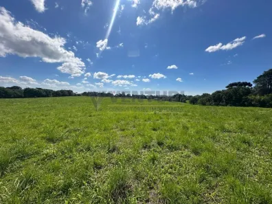 Imóvel Comercial à venda, 48400m² no Campo Largo da Roseira, São José dos Pinhais