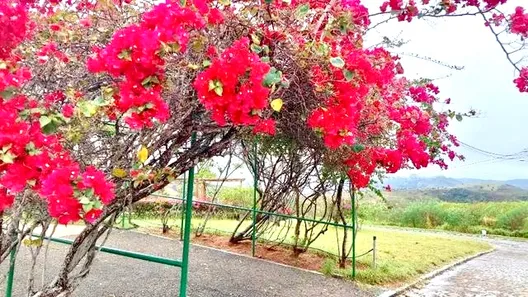 Lote/Terreno à venda, 2486m² no Zona Rural, Serra de São Bento