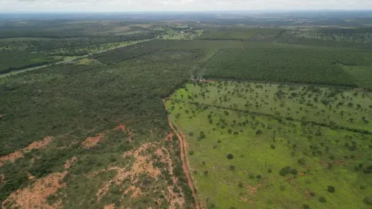 Fazenda/Sítio com 3 Quartos à venda, 470000m² no Tomás Gonzaga, Curvelo