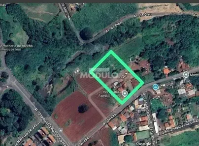 Lote/Terreno à venda, 6000m² no Chácaras Tubalina e Quartel, Uberlândia