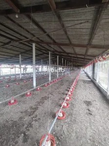 Fazenda/Sítio com 4 Quartos à venda, 265m² no Alto José Leal, Vitória de Santo Antão