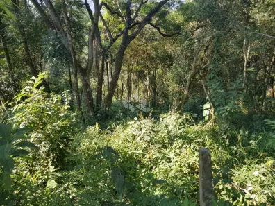 Lote/Terreno à venda, 2790m² no Capoavinha, Mairiporã
