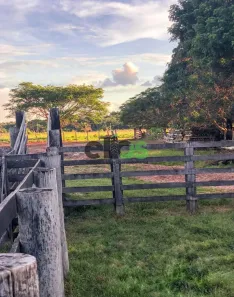 Fazenda/Sítio com 1 Quarto à venda, 1530m² no , Peixoto de Azevedo