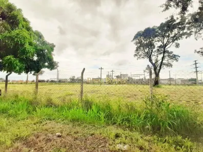 Lote/Terreno à venda, 546m² no Jardim Floridiana, Rio Claro