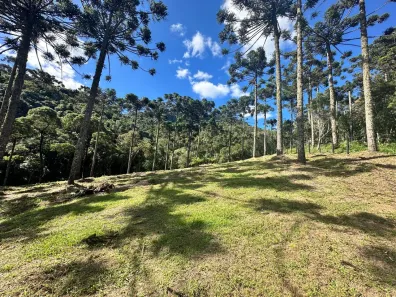 Lote/Terreno à venda, 31000m² no , Urubici