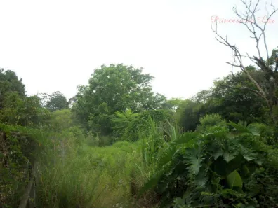 Lote/Terreno à venda, 9439m² no Cavalhada, Porto Alegre