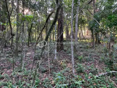 Lote/Terreno à venda, 5000m² no Avenida Central, Gramado