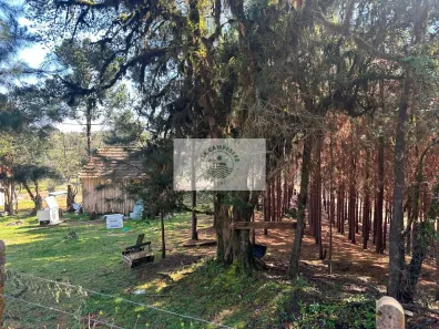 Fazenda/Sítio com 1 Quarto à venda, 10000m² no Bateias de Baixo, Campo Alegre
