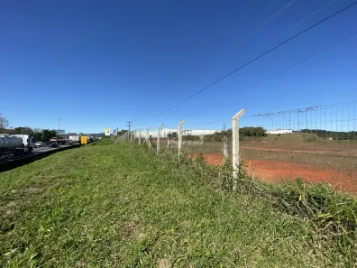 Lote/Terreno à venda, 217000m² no Nossa Senhora da Conceição, Balneário Piçarras