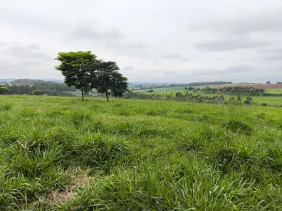 Fazenda/Sítio com 3 Quartos à venda, 2178000m² no , Monte Santo de Minas