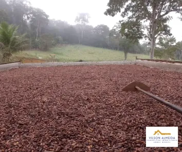 Fazenda/Sítio com 4 Quartos à venda, 2050000m² no Serra Grande, Uruçuca
