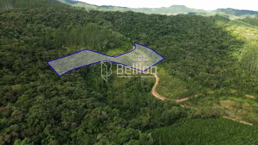 Lote/Terreno à venda, 20042m² no , Benedito Novo