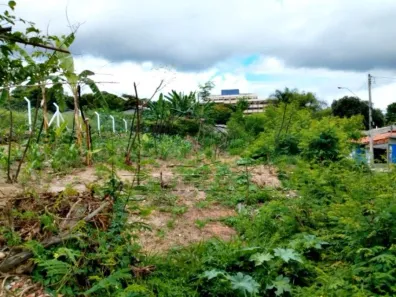 Lote/Terreno à venda, 360m² no Jardim Faculdade, Sorocaba