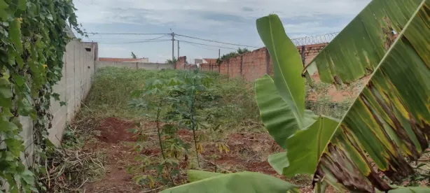 Lote/Terreno à venda, 250m² no Jardinópolis, Jardinópolis