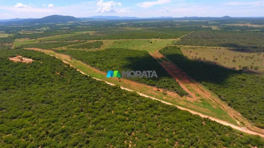 Fazenda/Sítio com 1 Quarto à venda, 250m² no Boa Vista, Janaúba