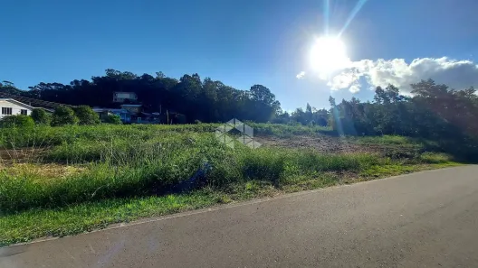 Fazenda/Sítio à venda, 9962m² no , Garibaldi