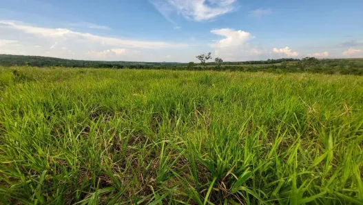 Fazenda/Sítio com 1 Quarto à venda, 3650000m² no , Poxoréu