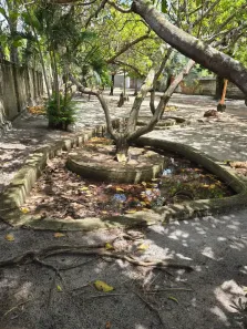 Fazenda/Sítio à venda, 3653m² no Povoado de Pium, Nísia Floresta