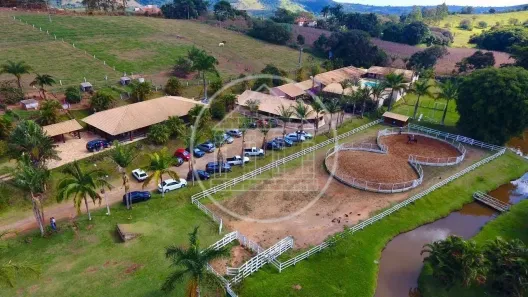 Fazenda/Sítio com 19 Quartos à venda, 450m² no , Conceição da Aparecida