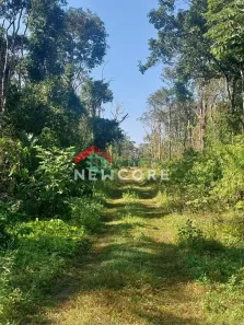 Lote/Terreno à venda, 250m² no Jardim Columbia, Mongaguá