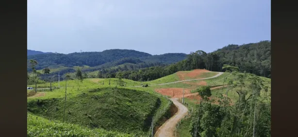 Casa com 1 Quarto à venda, 24000m² no Barro Branco, São Pedro de Alcântara