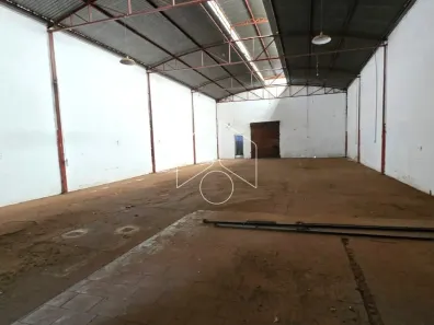 Galpão/Depósito/Armazém à venda, 350m² no Alto Cafezal, Marília