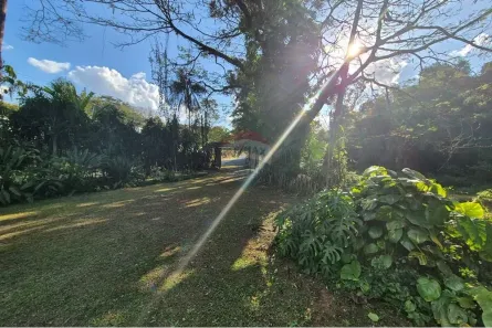 Fazenda/Sítio com 3 Quartos à venda, 260m² no Centro (Arcadas), Amparo