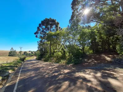 Fazenda/Sítio com 1 Quarto à venda, 4700m² no Centro, Passo Fundo