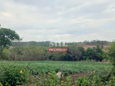 Fazenda/Sítio à venda, 500m² no , Goianápolis