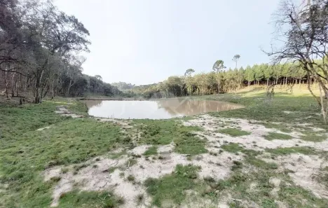 Lote/Terreno à venda, 10000m² no Bateias de Baixo, Campo Alegre