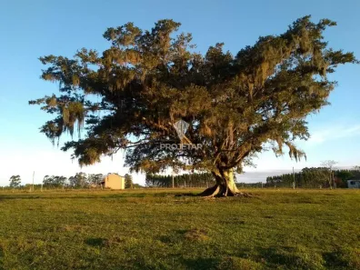 Fazenda/Sítio à venda, 90m² no Vila Santa Catarina, São João do Sul