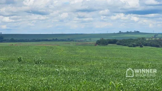 Fazenda/Sítio com 1 Quarto à venda, 242000m² no Parque Industrial Mário Bulhões, Maringá