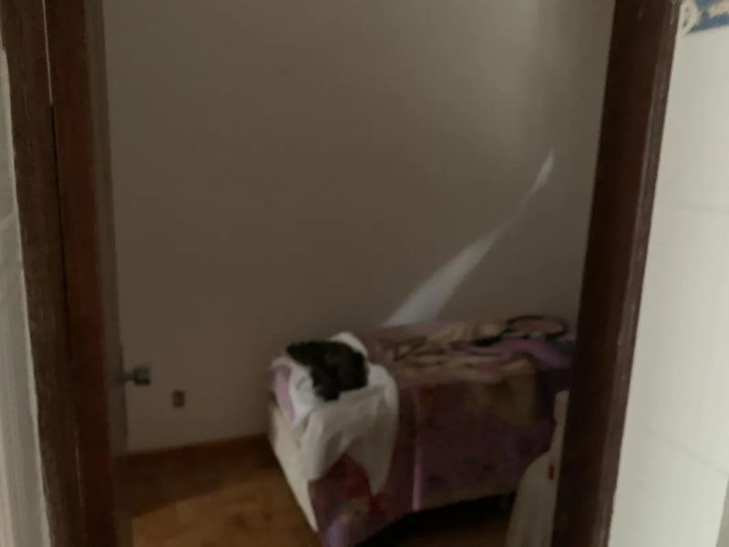 Foto 23