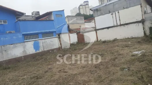 Lote/Terreno para alugar, 450m² no Jardim Santo Amaro, São Paulo