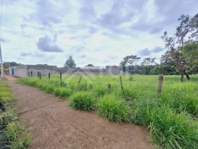Lote/Terreno para alugar, 5000m² no Jardim Tangará, São Carlos