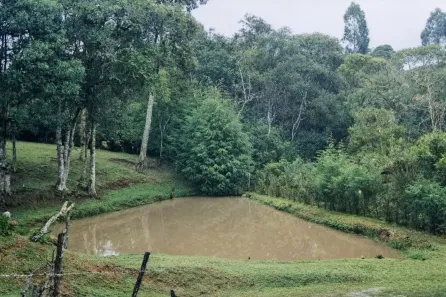 Lote/Terreno à venda, 11000m² no Vila São Tiago, Piraquara