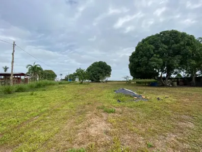 Fazenda/Sítio à venda, 200000m² no Liberdade, Manacapuru