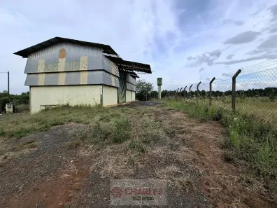 Galpão/Depósito/Armazém para alugar, 200m² no Jardim Primavera, Mogi Mirim