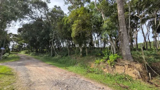 Lote/Terreno à venda, 4249m² no Campo Campestre, Campo Alegre