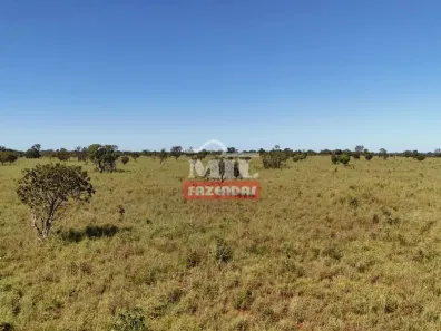 Fazenda/Sítio à venda, 500m² no , Almas
