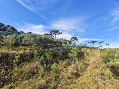 Fazenda/Sítio à venda, 700000m² no Rio Porteira, Bom Jardim da Serra