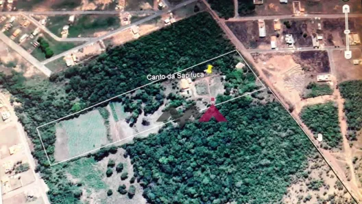 Fazenda/Sítio com 1 Quarto à venda, 40000m² no Luzimangues, Porto Nacional
