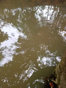 Fazenda/Sítio com 3 Quartos à venda, 7000m² no , Jaboticatubas