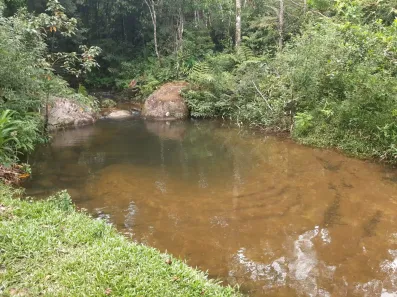 Lote/Terreno à venda, 500m² no Corrego dos Micos, Paraty
